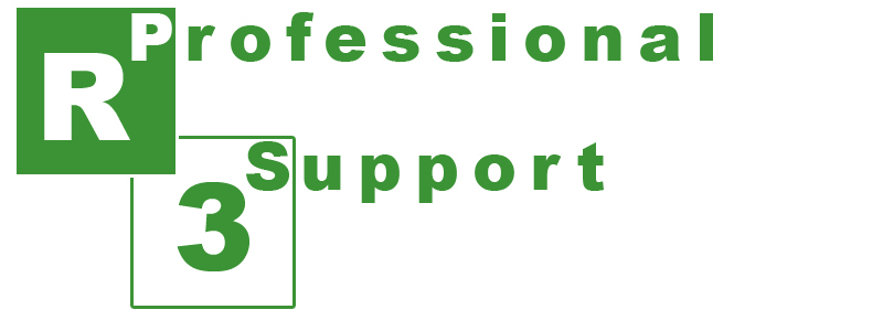 R3 Professional Support